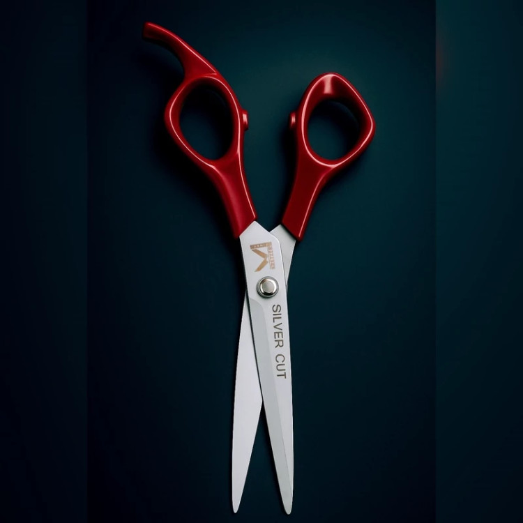 قیچی کات آرایشگری فینی حرفه ای Silver Cut