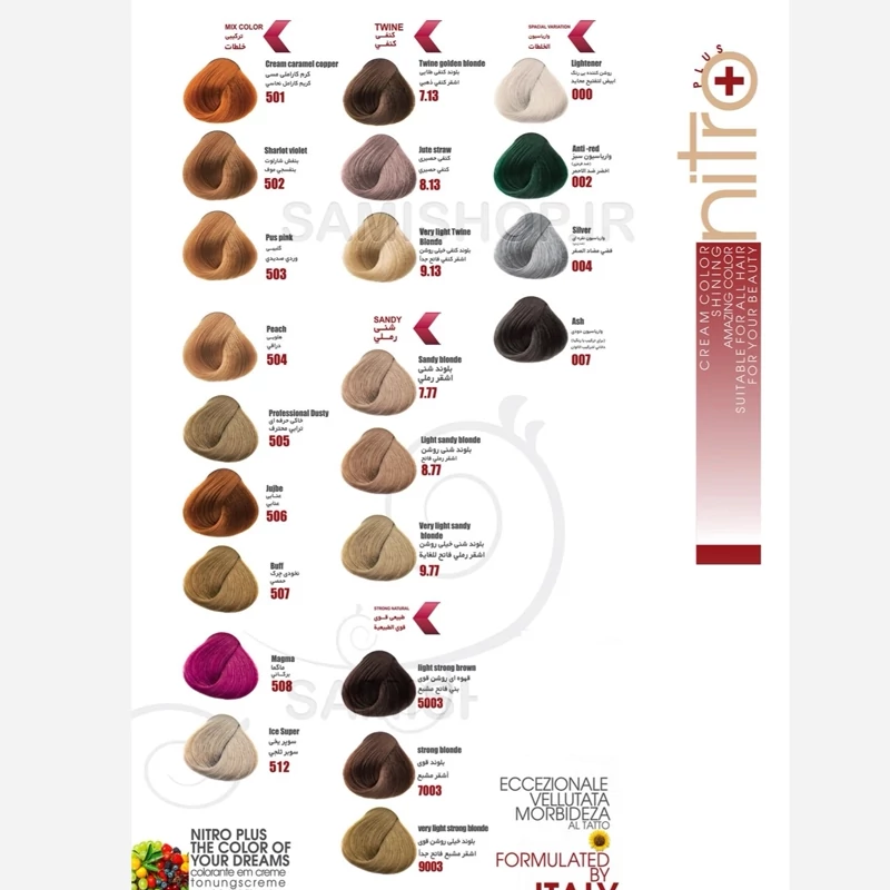 رنگ مو نیترو سری Keratine شماره 10.1 مدل بلوند خاکستری خیلی روشن