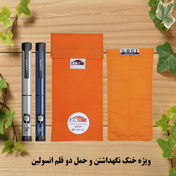 کیف خنک نگهدارنده انسولین لوک آی مدل 2 قلم