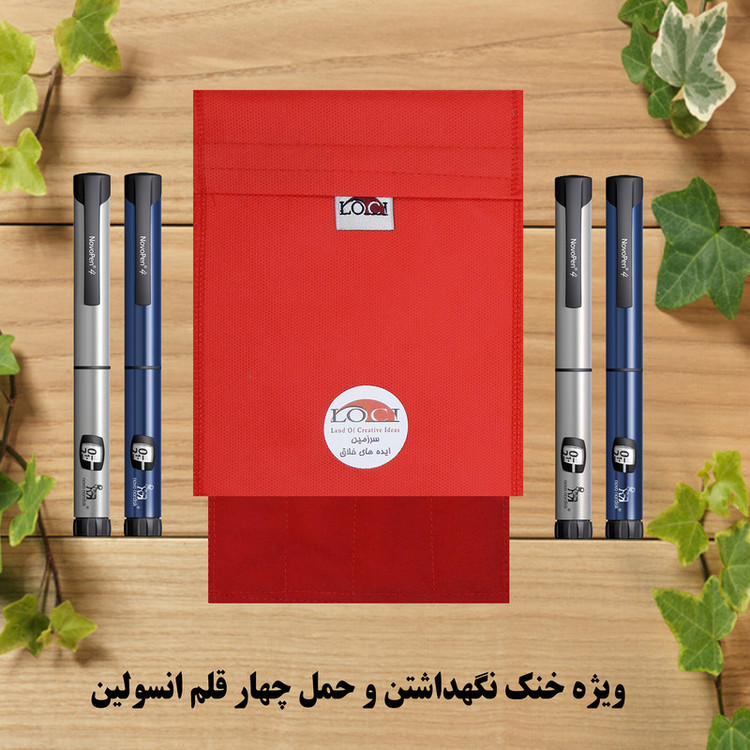 کیف خنک نگهدارنده انسولین لوک آی مدل 4 قلم کد 00 مجموعه 2 عددی