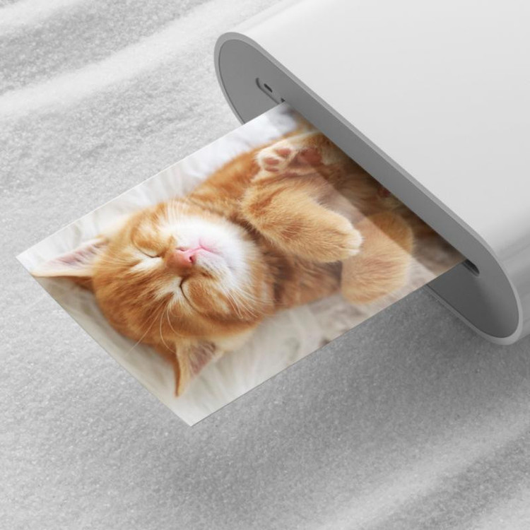کاغذ چاپ سریع شیائومی مدل Mi Portable Photo Printer Paper بسته 20 عددی
