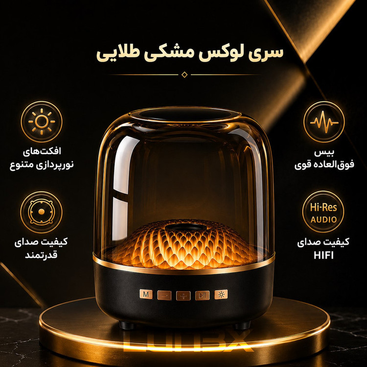 اسپیکر قابل حمل مدل LX2500