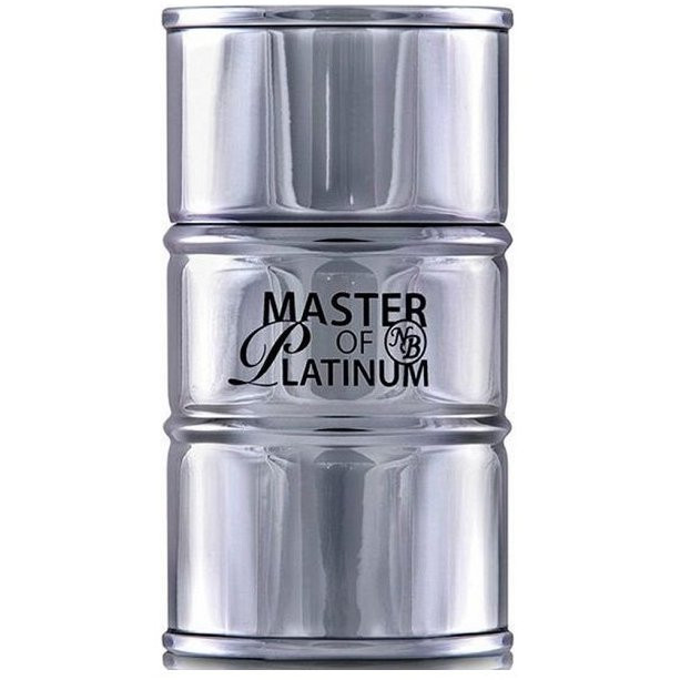 ادوتویلت مردانه نیو برند مدل مستر آف پلاتینیوم حجم 100 میل New Brand Master Of Platinum EDT For Men