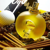 عطر ادکلن بیژن مردانه ادو تویلت bijan MEN EDT