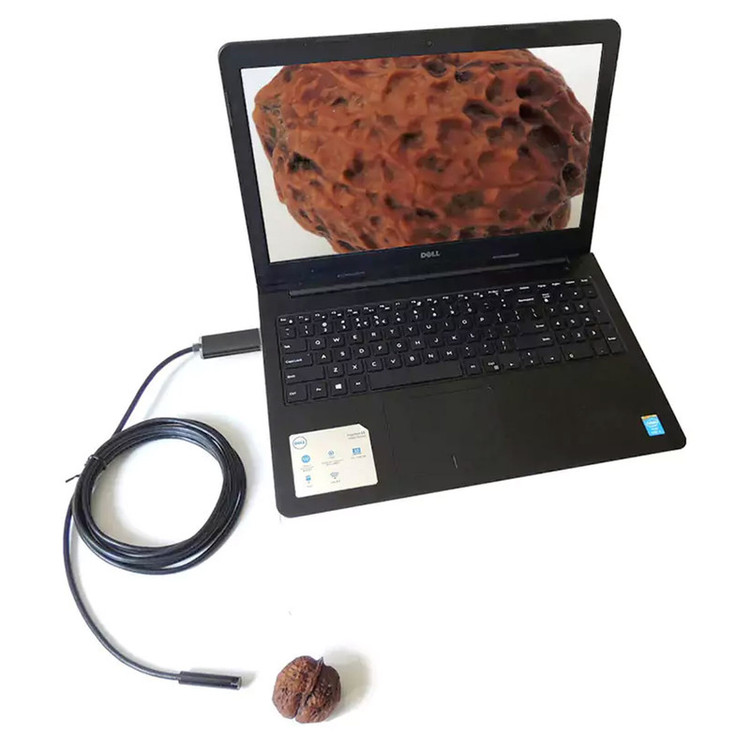 دوربین شلنگی مدل ضدآب کد 10Meters New 2026