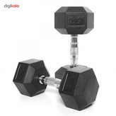 دمبل بادی اسکالپچر مدل BW-460 پانزده کیلوگرمی بسته 2 عددی