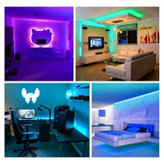 ریسه نئون لومیز مدل APP-5M RGB طول ۵ متر به همراه آداپتور