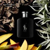 ادو تویلت مردانه رالف لورن مدل Polo Black حجم 125 میلی لیتر