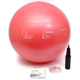 توپ جیم بال صاف اعلا مارک JOEREX سایز 65 تا 85 با تلمبه